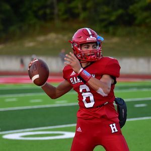 Meet your Posher, Darcy